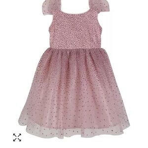 Pink & Violet Novelty Dress Mesh size 2T Dust Pink